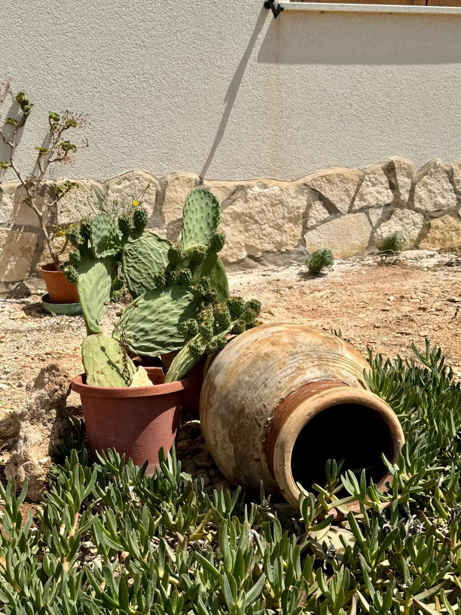 פאביננה Aria Case Vacanze מראה חיצוני תמונה